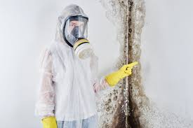 Mold Removal for HVAC Installations in Venice, FL